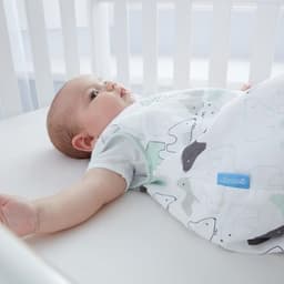 כדור שוקולד (1 יחידה