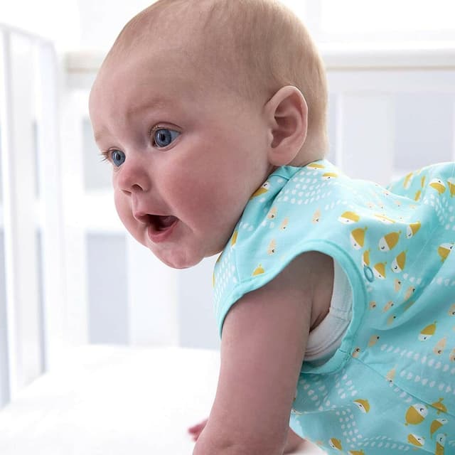 שק שינה לתינוקות - טומי טיפי - Tommee Tippee