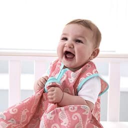 זית קלמטה קטן חרוזית