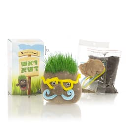 ערכה להכנת ראש דשא