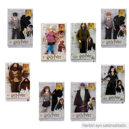 הארי פוטר דמויות מגוון