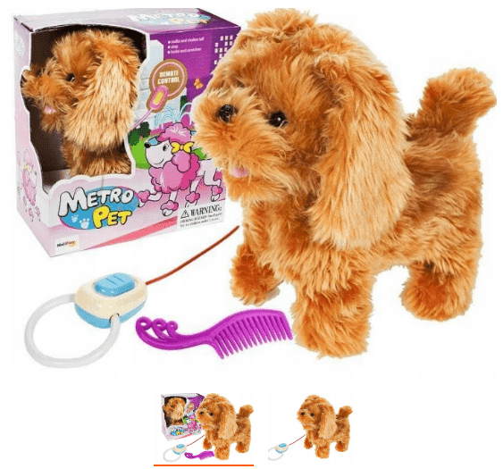 כלב שלט חום