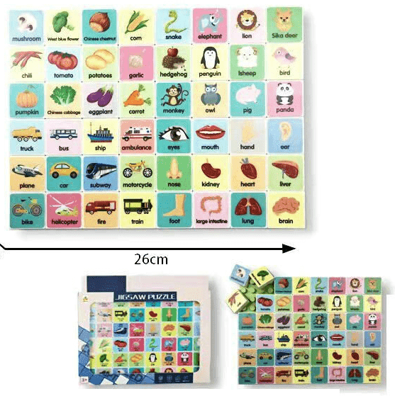 פאזל הרכבת לגו ללימוד פרות ירקות תחבורה חיות ואיברים בגוף