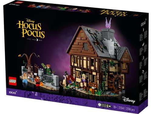 לגו רעיונות - בקתת האחיות סנדרסון 21341