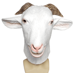 מסכה לאטקס כבשה עם כארד