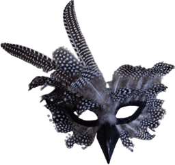 מסכה ינשוף עם נוצות על כארד/ 6 יחידות במארז