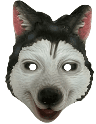 מסכה כלב EVA על כארד/ 6 יחידות במארז