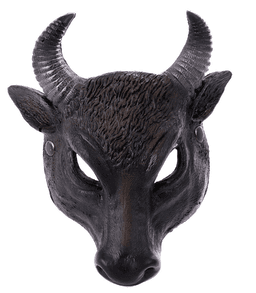 גבינה צפתית מעדניה ג