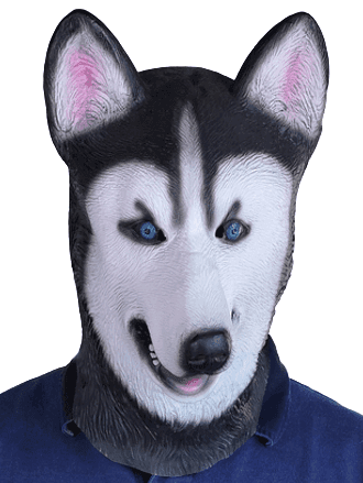 מסכה לאטקס כלב זאב עם כארד