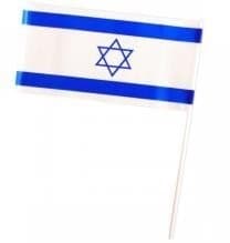 דגל ישראל על מקל פלסטיק
