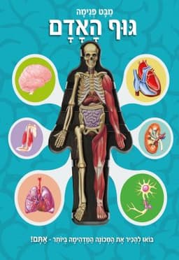 מבט פנימה גוף האדם