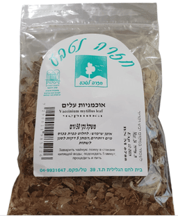 אוכמניות עלים - חזרה לטבע | אקו טבע