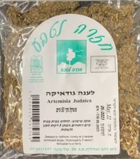 לענה גודאיקה - חזרה לטבע | אקו טבע
