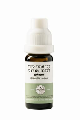 שמן אתרי לבונה אורגני - המילניום | אקו טבע
