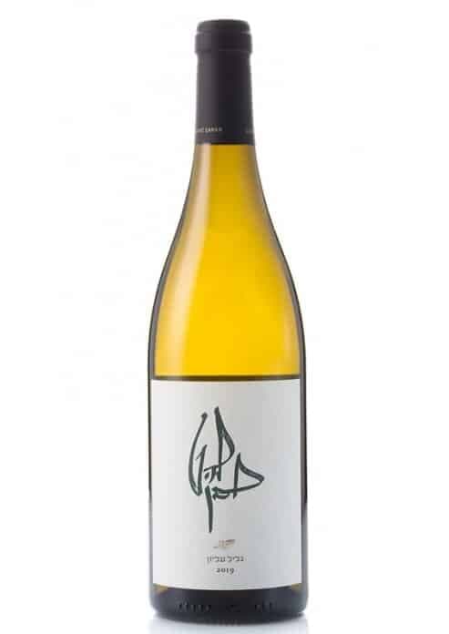 יין לבן להט