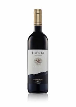 יין אדום לוריא טרסה 2022