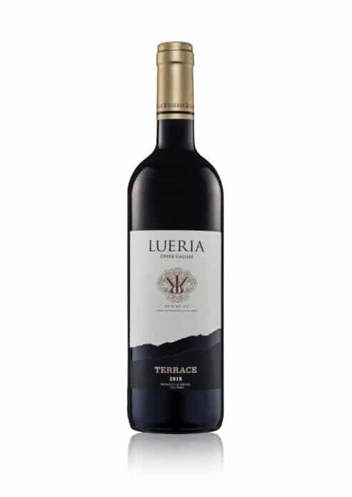 יין אדום לוריא טרסה 2022