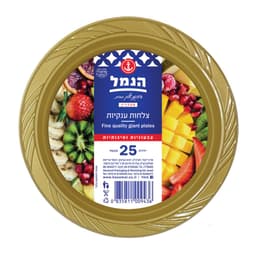 צלחות ענקיות צבעוניות