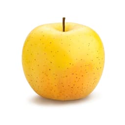 תפוח עץ מוזהב