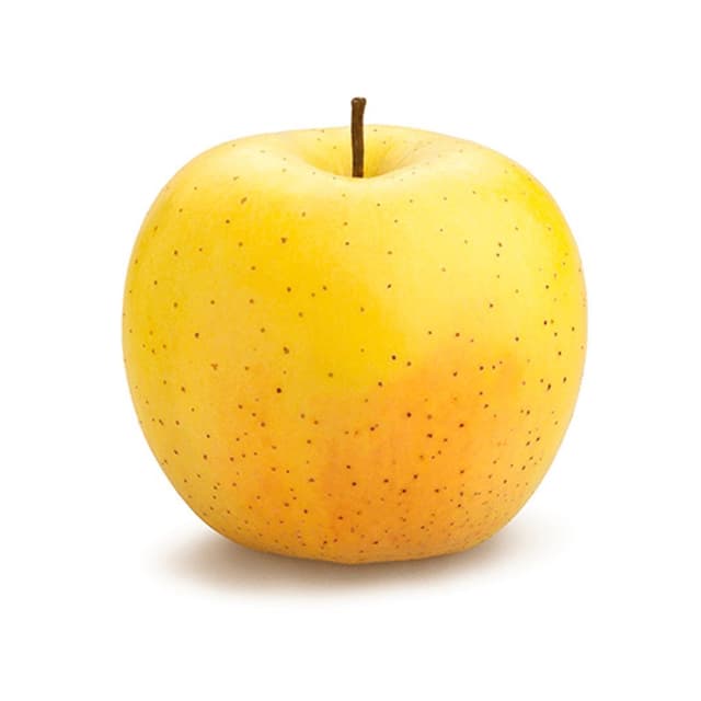 תפוח עץ מוזהב