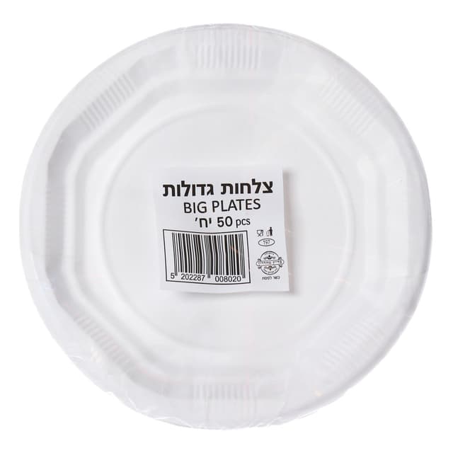 צלחות חד פעמיות גדול