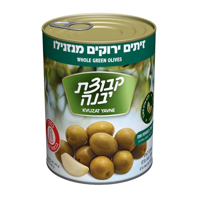 זית מנזנילו גדול מאד 560 ג' יבנה