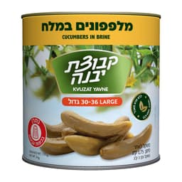 מלפפונים במלח בינוני