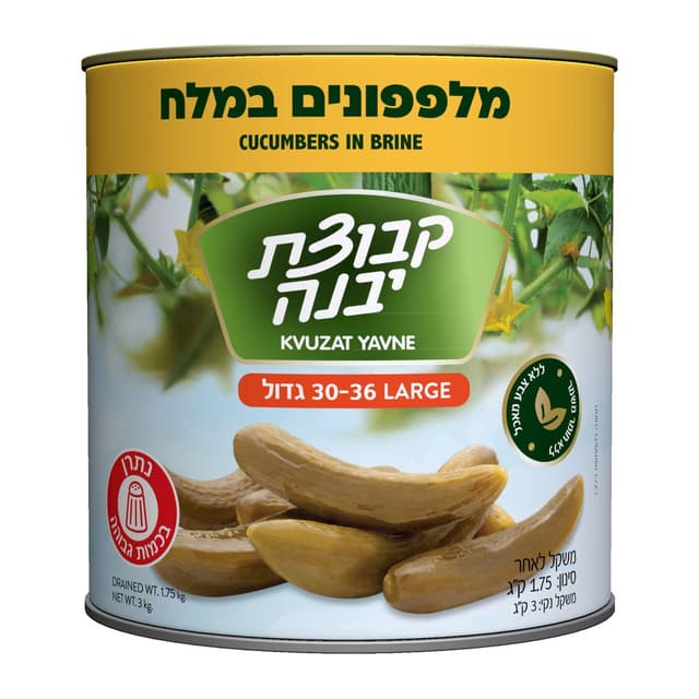 מלפפונים במלח בינוני