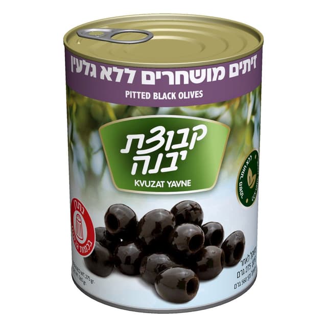 זית חרוזית מושחר 560 ג' יבנה