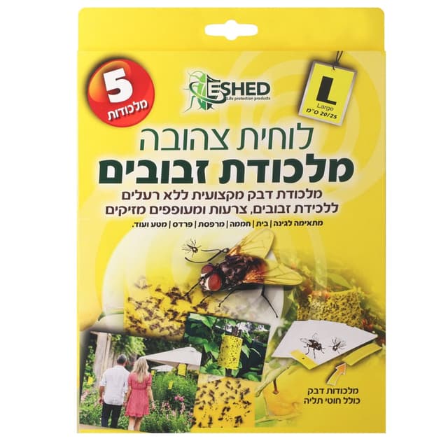מלכודת זבובים בלוח צ