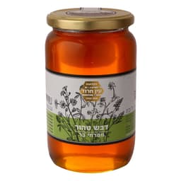 דבש טהור בצנצנת