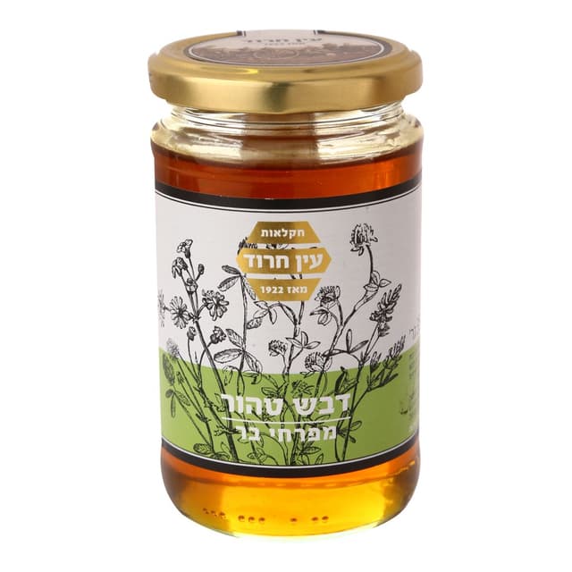 צנצנת דבש זכוכית 350 גרם