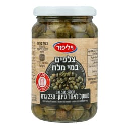 צלפים במי מלח וילי פ