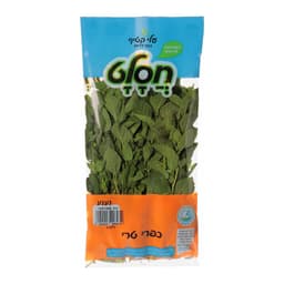 נענע (שקית )חסלט