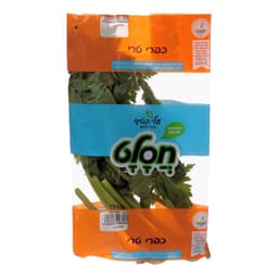 סלרי (שקית )חסלט