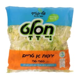 חסה אייסברג חתוכה חס