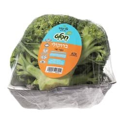 ברוקולי חסלט אפרתי