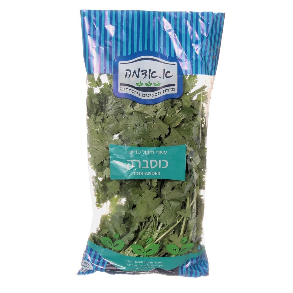 כוסברה א.אדמה