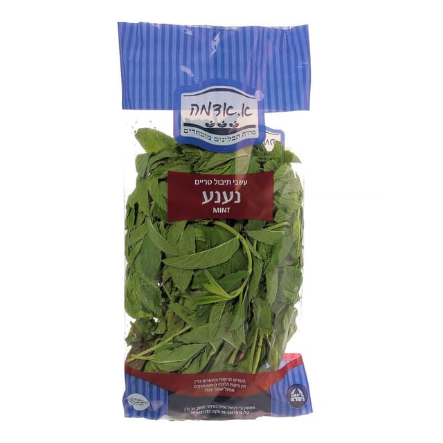 נענע א.אדמה