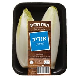 אנדי בלגי