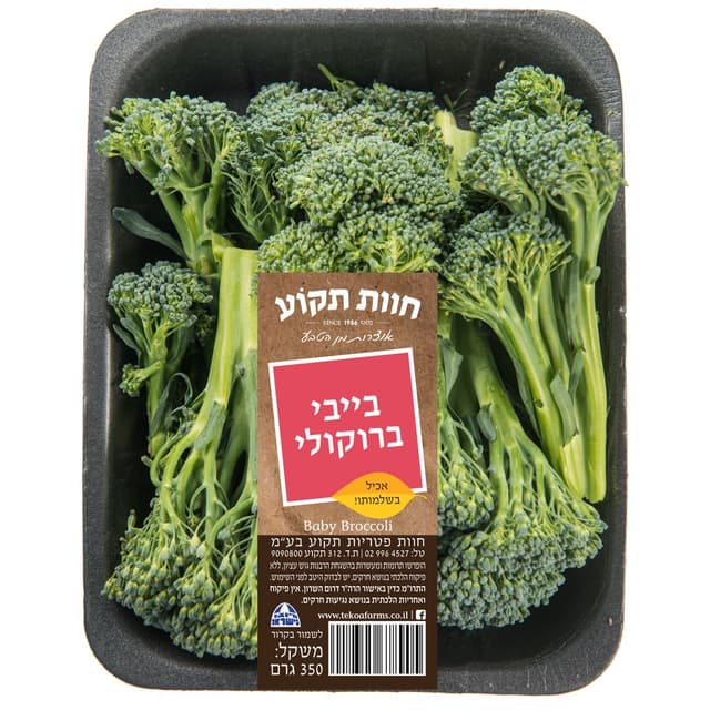 בייבי ברוקולי חוות ת