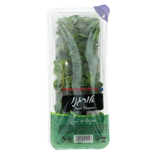 אורגנו רמי לוי