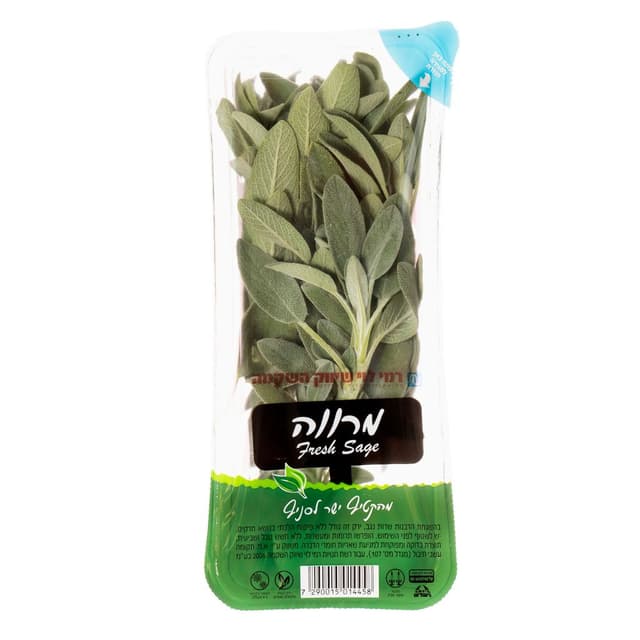 מרווה רמי לוי