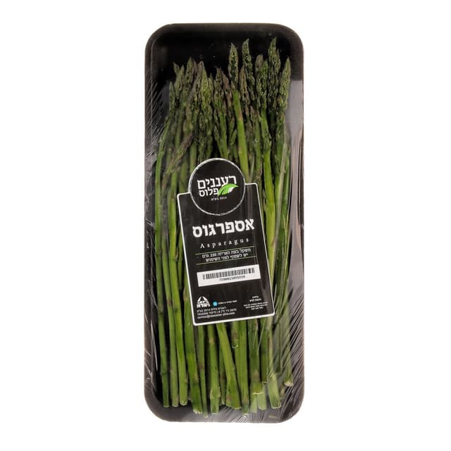 אספרגוס א.אדמה