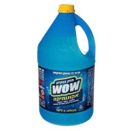 אקונומיקה ללא בישום