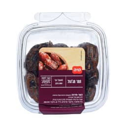 תמר מג'הול 250
גר' מיה