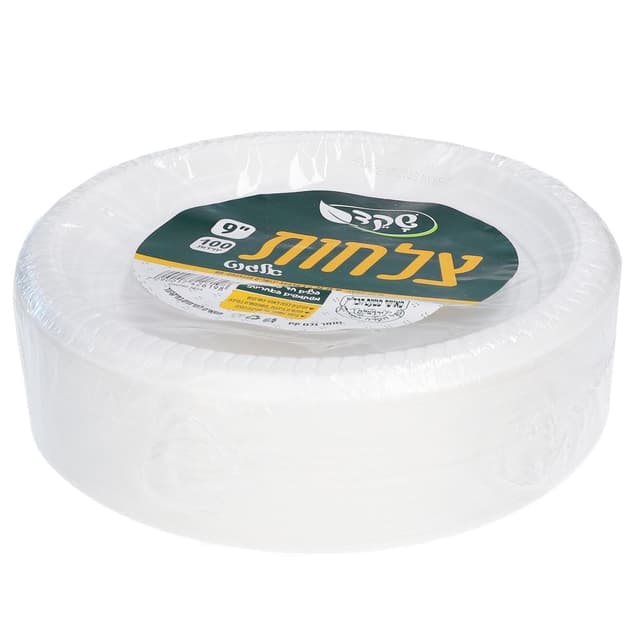 צלחת 9" צבעים שונים