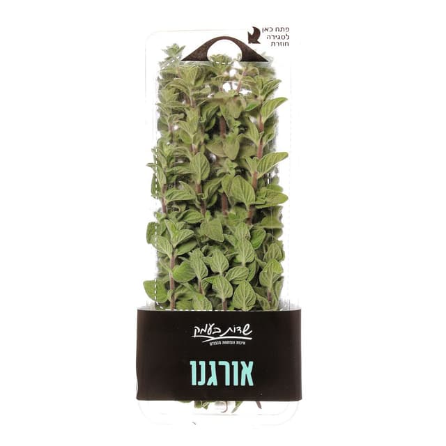 אורגנו שדות בעמק