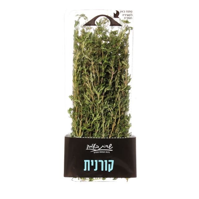 קורנית שדות בעמק