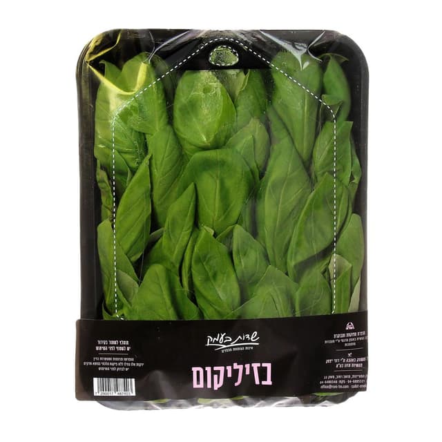 בזיליקום שדות בעמק